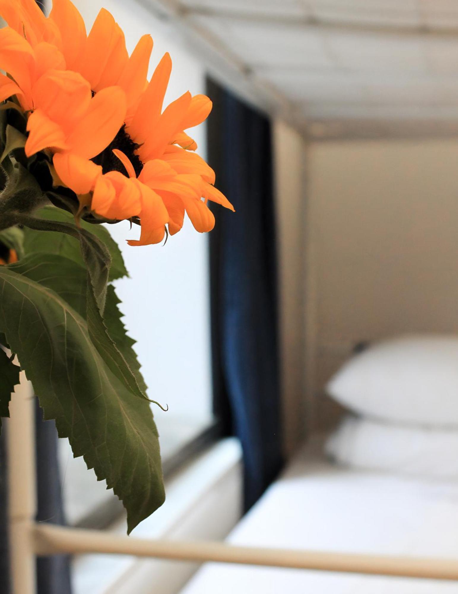 Centrum Private & Dorms Hostal Varsovia
